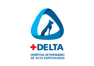 logo-delta